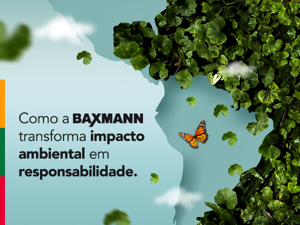 Como a Baxmann transforma impacto ambiental em responsabilidade?
